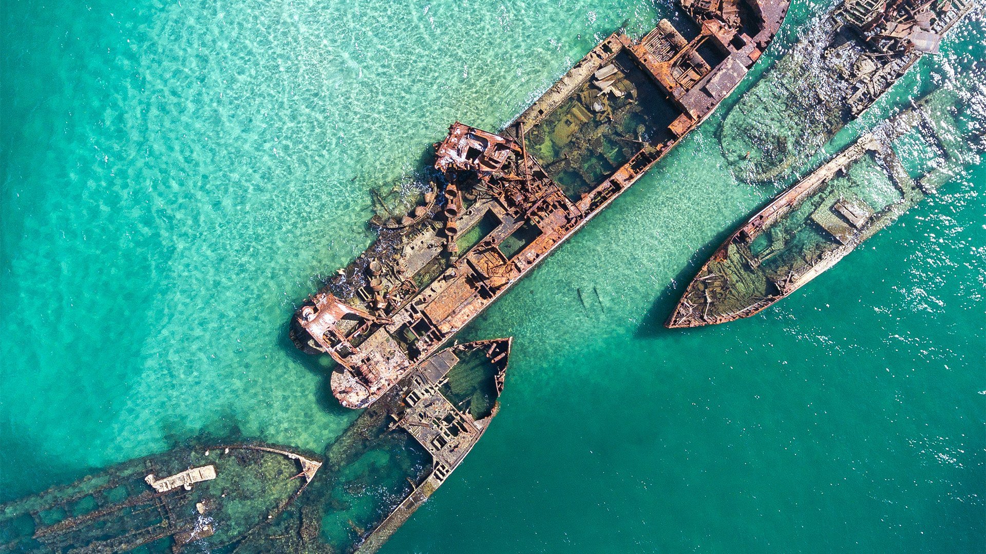 탕갈루마 난파선 (Tangalooma Wrecks)